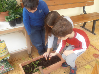 ������ �������� ��� ����� ������� 2015