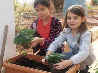 ������ �������� ��� ����� ������� 2015