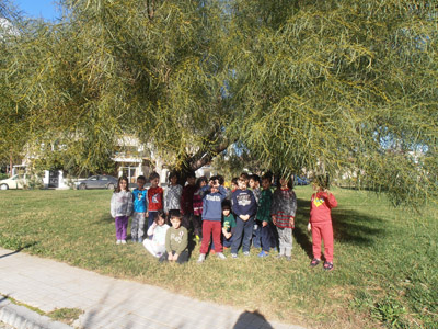 ������ �������� ��� ����� ������� 2015