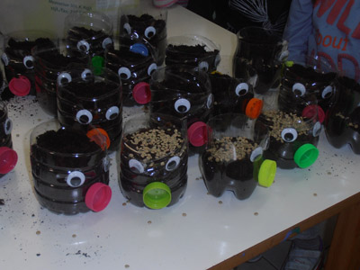 ������ �������� ��� ����� ������� 2015