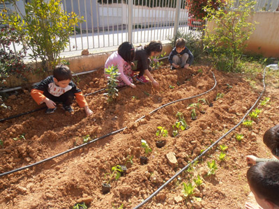 ������ �������� ��� ����� ������� 2015