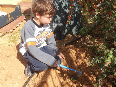 ������ �������� ��� ����� ������� 2015