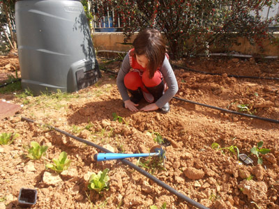 ������ �������� ��� ����� ������� 2015