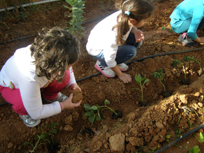 ������ �������� ��� ����� ������� 2015