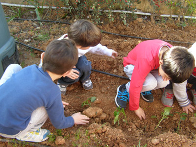 ������ �������� ��� ����� ������� 2015