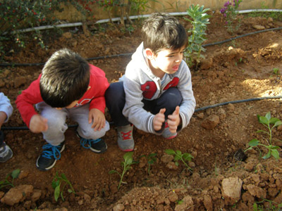 ������ �������� ��� ����� ������� 2015