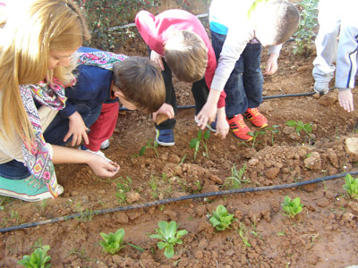 ������ �������� ��� ����� ������� 2015