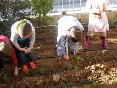 ������ �������� ��� ����� ������� 2015