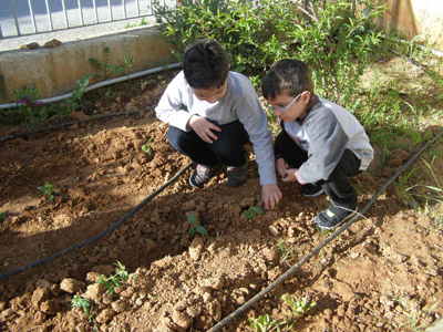 ������ �������� ��� ����� ������� 2015