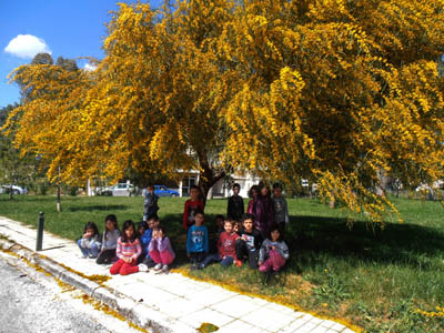 ������ �������� ��� ����� ������� 2015