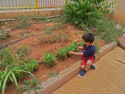 ������ �������� ��� ����� ������� 2015