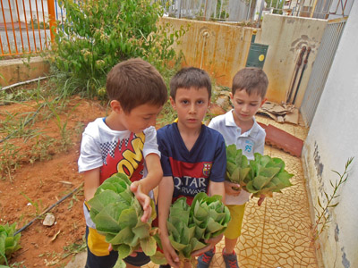 ������ �������� ��� ����� ������� 2015