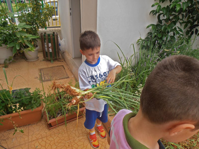 ������ �������� ��� ����� ������� 2015