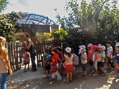 ������ ��� ��� - ����� ������ 2015