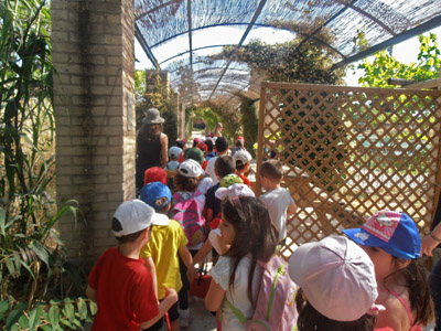 ������ ��� ��� - ����� ������ 2015