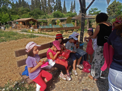 ������ ��� ��� - ����� ������ 2015