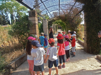 ������ ��� ��� - ����� ������ 2015