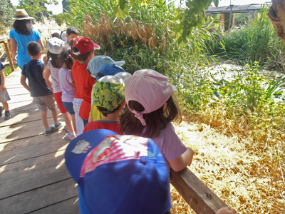 ������ ��� ��� - ����� ������ 2015