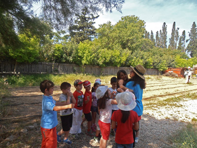 ������ ��� ��� - ����� ������ 2015