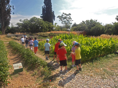 ������ ��� ��� - ����� ������ 2015