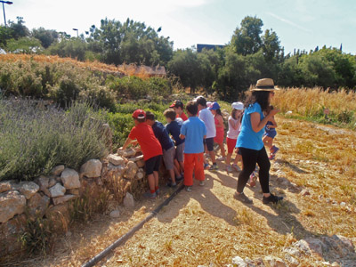 ������ ��� ��� - ����� ������ 2015