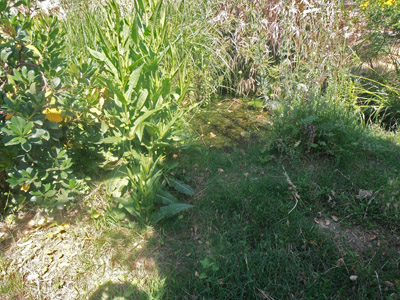 ������ ��� ��� - ����� ������ 2015