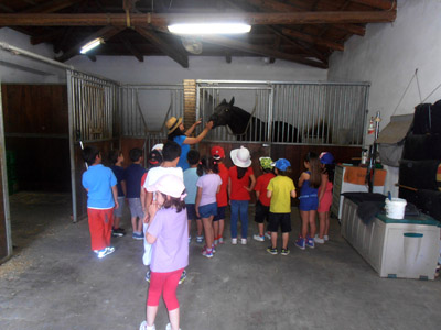 ������ ��� ��� - ����� ������ 2015