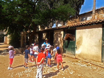 ������ ��� ��� - ����� ������ 2015