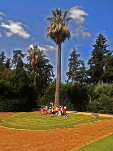 ������ ��� ��� - ����� ������ 2015