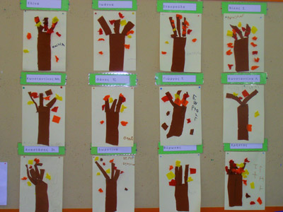 ����������� ��������� 2014-2015