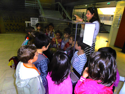 �������� ��� �������� ������� 2014