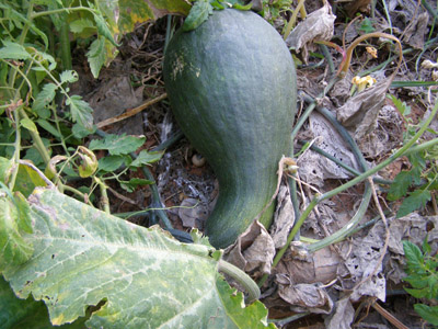 ������ �������� ��� ����� ������� 2015