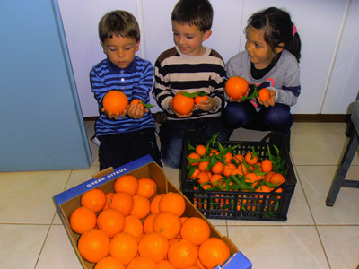 ������ �������� ��� ����� ������� 2015