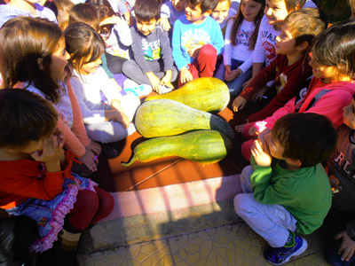 ������ �������� ��� ����� ������� 2015