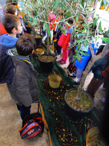 ������� 2014