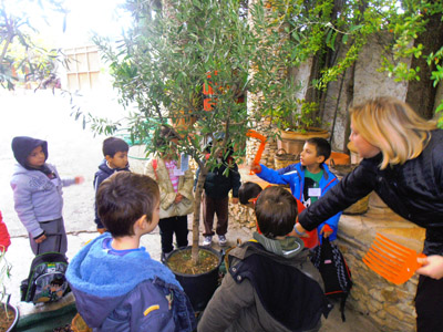 ������� 2014