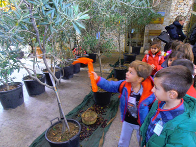 ������� 2014