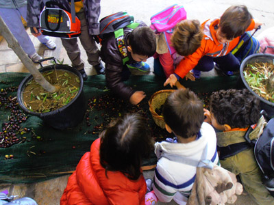 ������� 2014