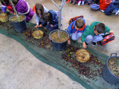 ������� 2014