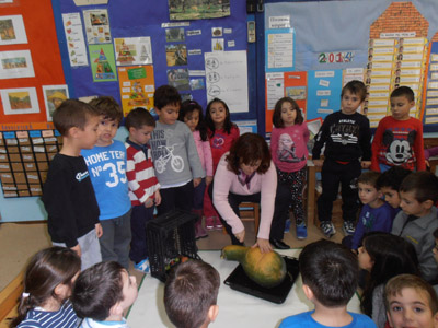 ������ �������� ��� ����� ������� 2015