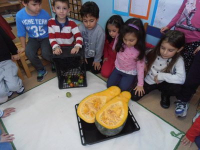 ������ �������� ��� ����� ������� 2015