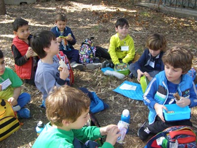 ������� ���������� 2016