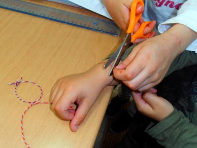 ����������  ������������� 2016