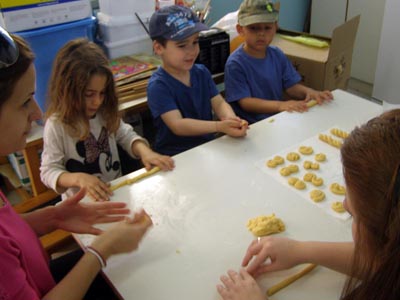 ����������  ������������� 2016