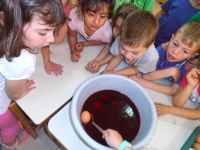 ����������  ������������� 2016