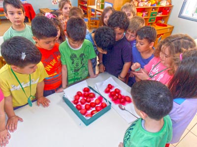 ����������  ������������� 2016