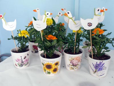 ����������  ������������� 2016