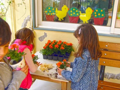 ����������  ������������� 2016