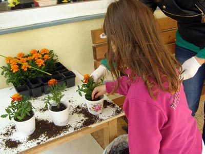 ����������  ������������� 2016