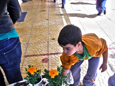 ����������  ������������� 2016